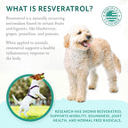 Petthrive Resveratrol Chews Dog Supplement - image 10