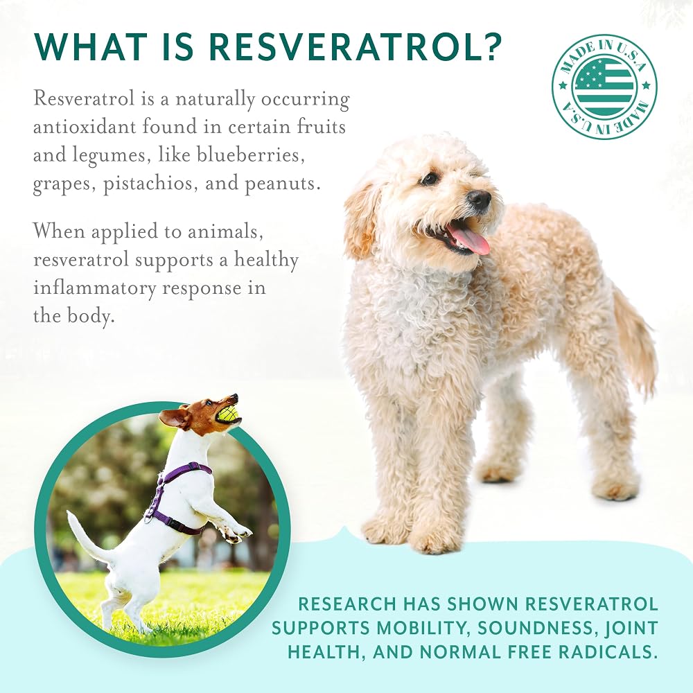 Petthrive Resveratrol Chews Dog Supplement - image 10