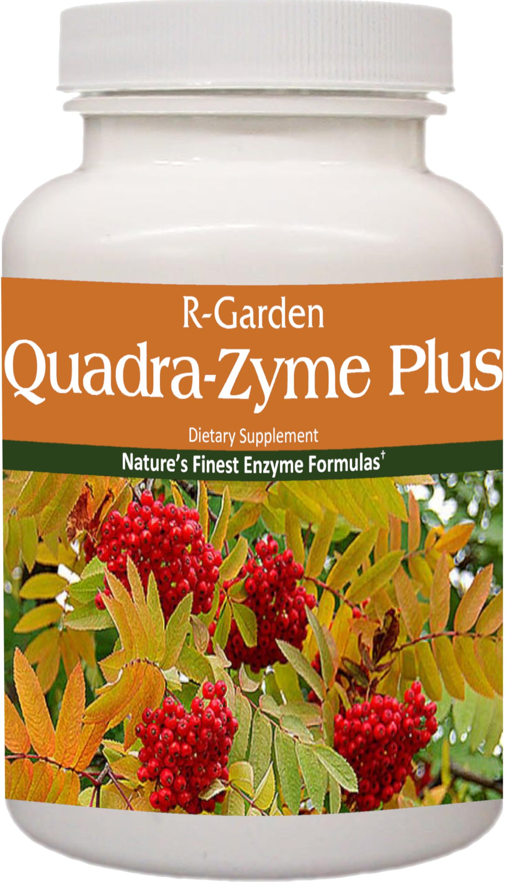 R-Garden Quadra-Zyme Plus Multi-Enzyme Digestive Support