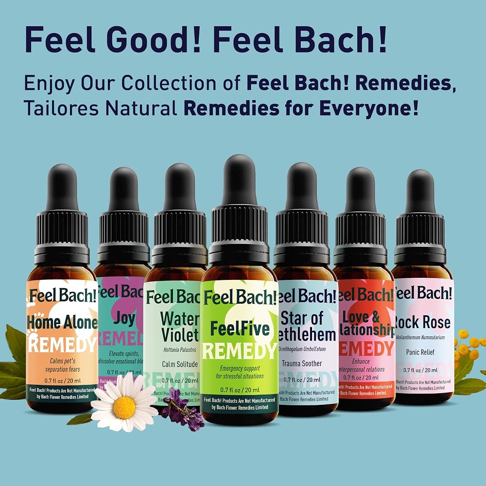 Feel Bach! Willow Natural Homeopathic Remedy - 20ml (0.7 fl oz) - image 7