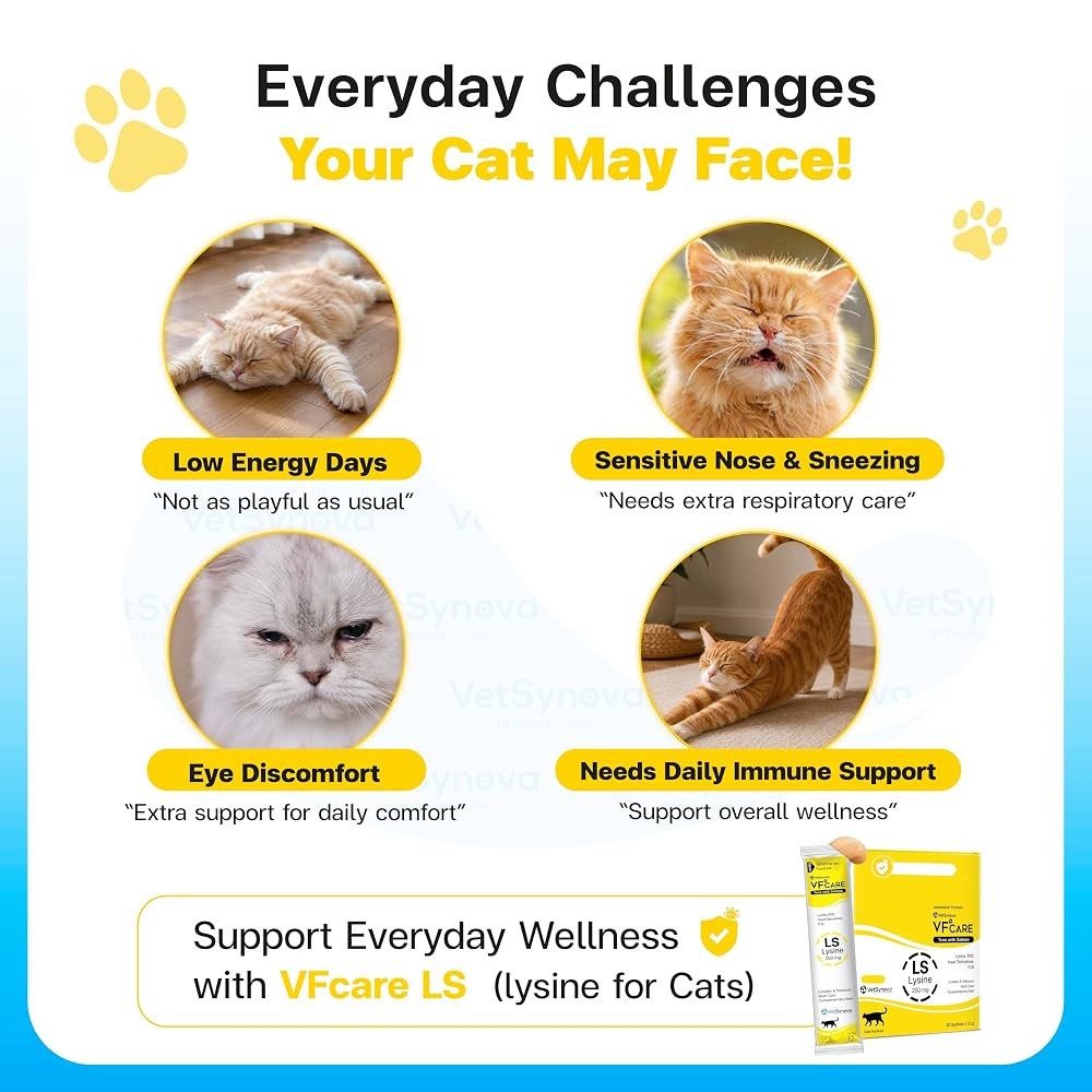 VFCARE L-Lysine for Cats 250mg Immune Support - 30 Sachets - image 2