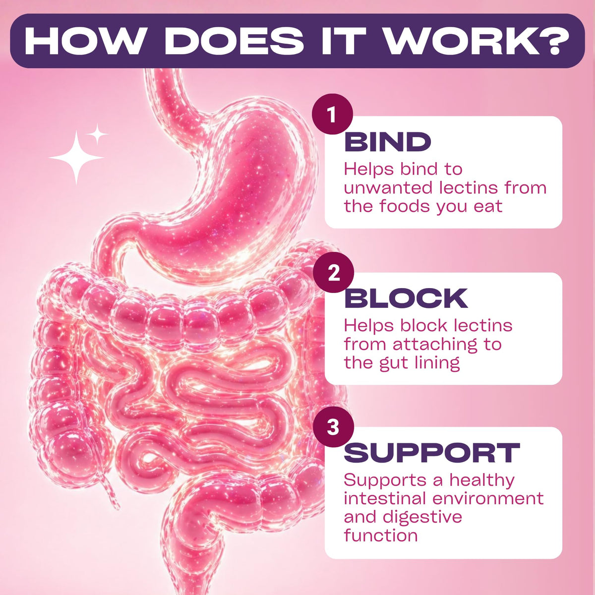 GOBIOTIX Lectin Defense Digestive Enzyme - 60 Capsules - image 3