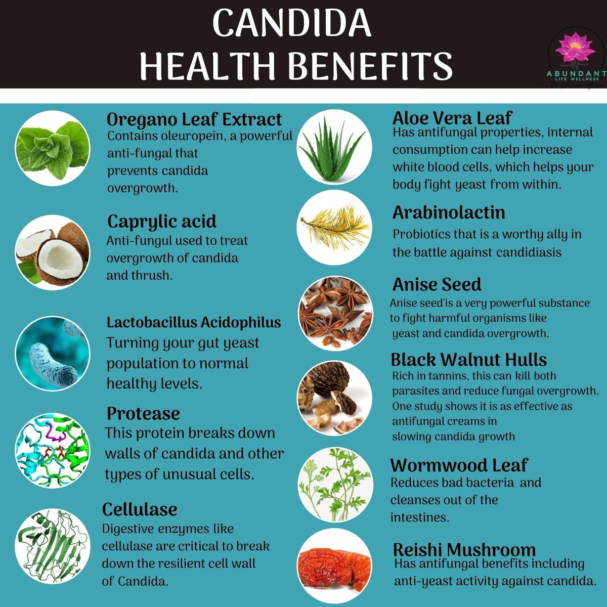 Abundant Life Wellness Candida Support - 180 Capsules - image 4