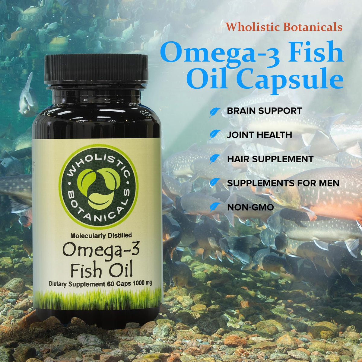 Wholistic Botanicals Omega-3 Fish Oil Brain Support - 60 Capsules - image 3