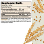 ANDREW LESSMAN Phytoceramides with Biotin Softgels - Skin’s Vital