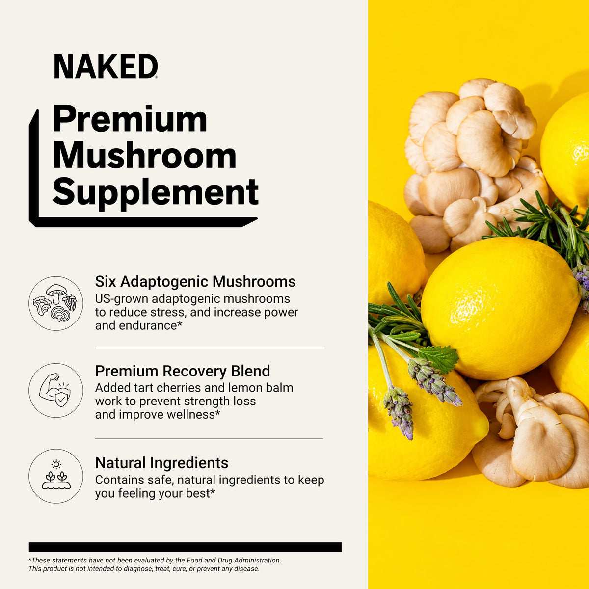 NAKED Recovery Mushroom Supplement Powder - 30 Servings - image 2