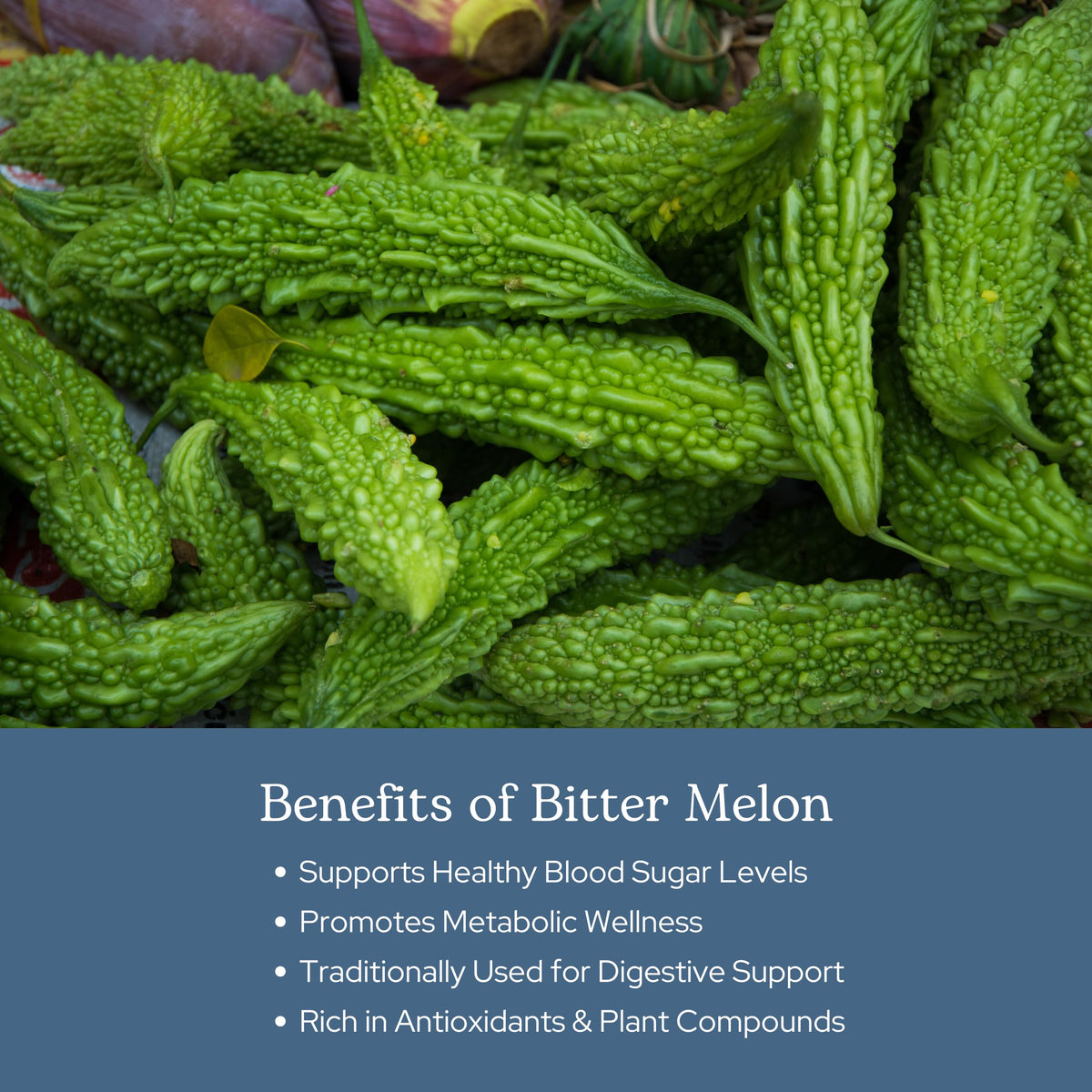 Eclectic Institute Bitter Melon Capsules for Glucose Support - 90 Capsules - image 4