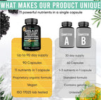 Adndale Shilajit Supplement