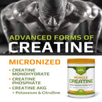 MUSCLE FOOD LABS Muscle Creatine Powder 3 Forms - 60 Servings - image 3