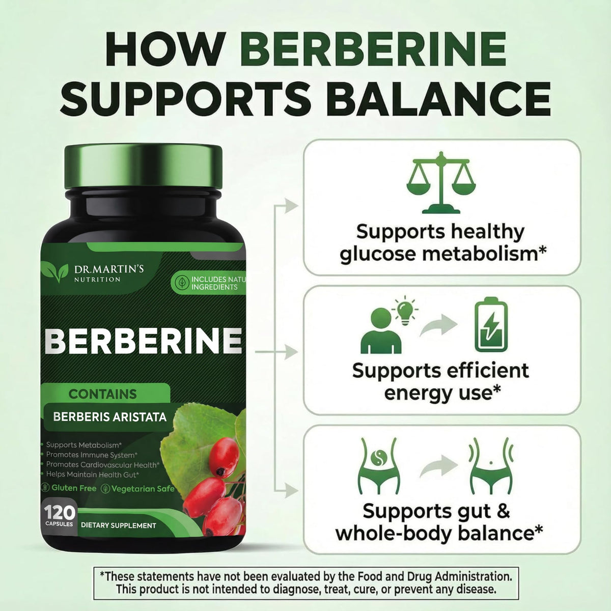 DR. MARTIN'S NUTRITION Berberine 1200mg - 120 Capsules - image 3