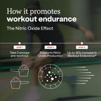 Humann SuperBeets Sport Endurance Pre Workout Powder