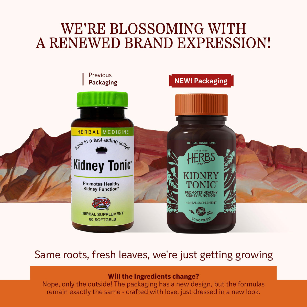Herbs Etc. Kidney Tonic Softgels, Organic & Gluten-Free - 60 Softgels - image 2