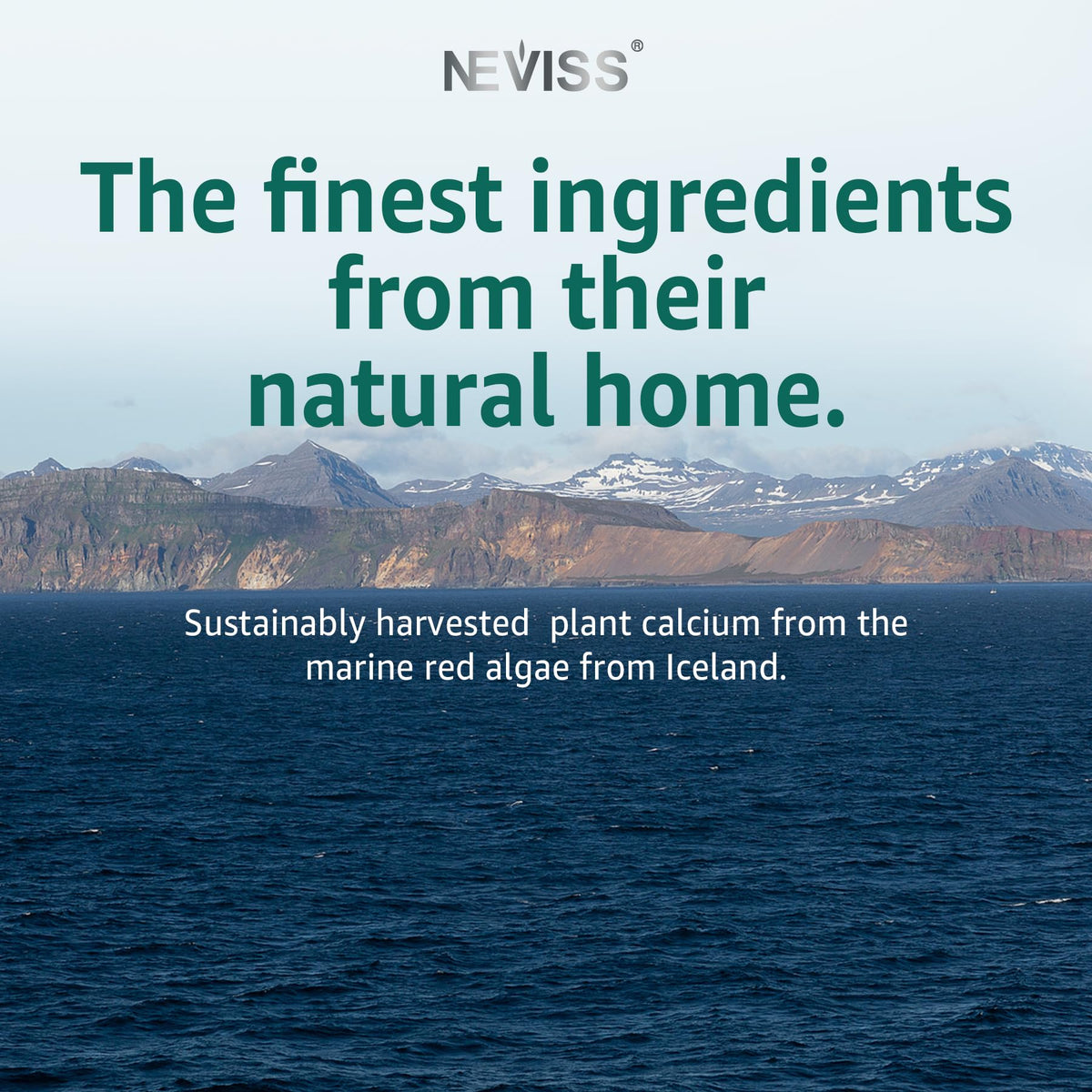 NEVISS Calcium Gummies 600 mg