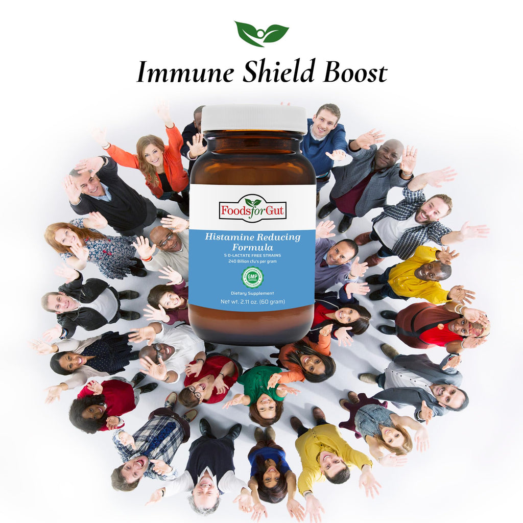 Foods For Gut Histamine & D Lactate Free Probiotics Powder 240