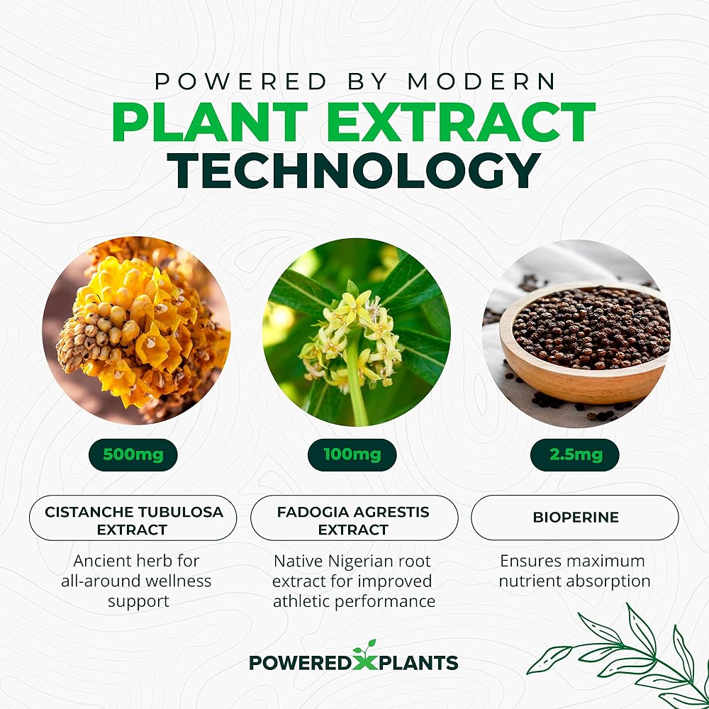 Powered X Plants Cistanche Tubulosa & Fadogia Agrestis - 90 Capsules - image 4