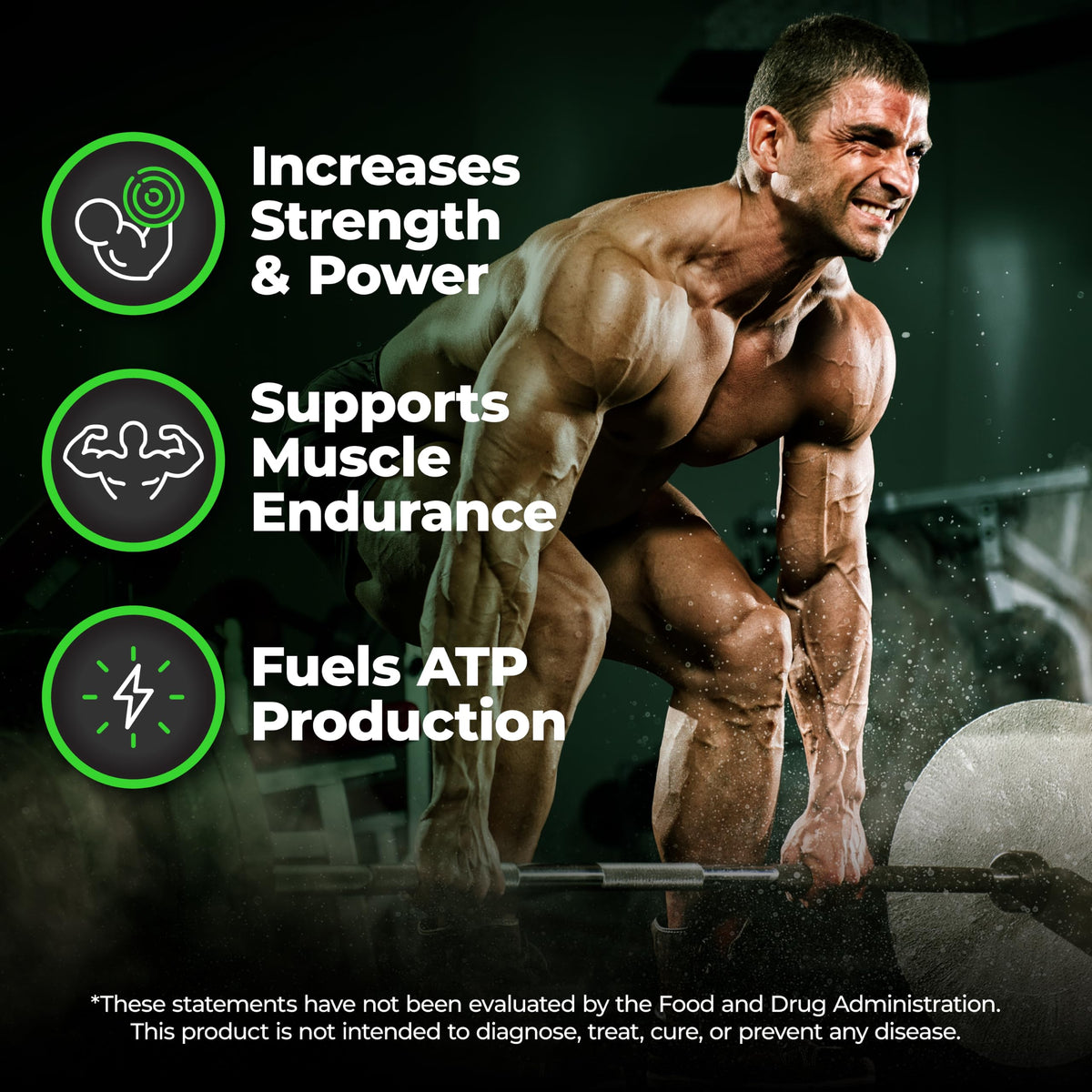 Species Nutrition Micronized Creatine Monohydrate Powder - 100 Servings - image 4