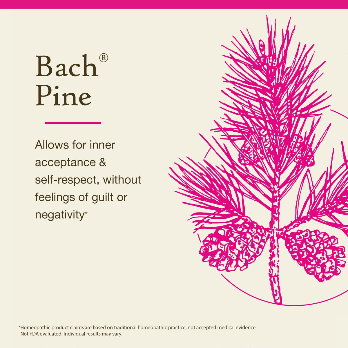 Bach Flower Remedies Pine for Self-Respect - 20mL - image 3