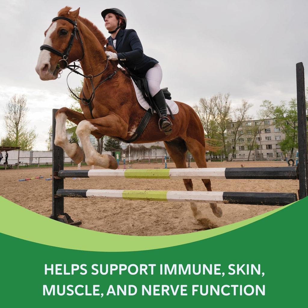 Health-E Vitamin E Supplement for Horses - 60 Servings - image 3