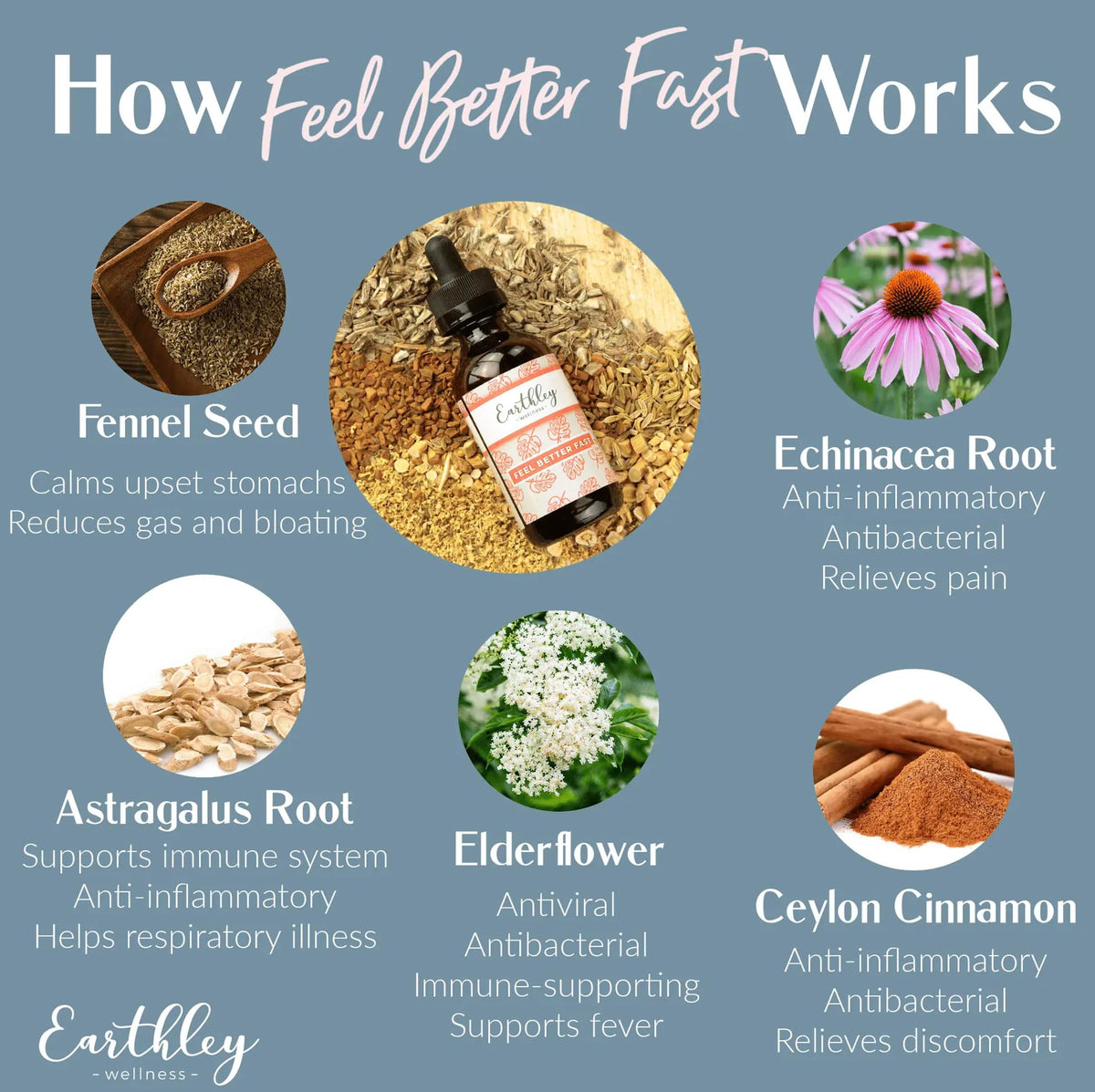Earthley Wellness Feel Better Fast Herbal Supplement - 1.69 Fl Oz - image 3