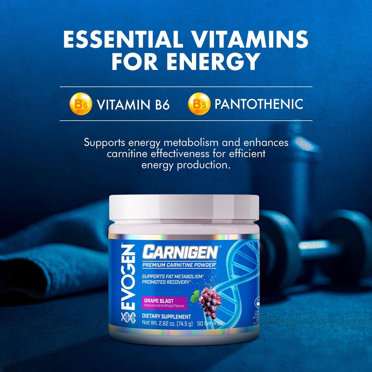 Evogen Carnigen - Premium Carnitine Powder