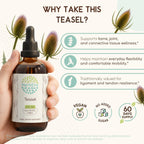 HerbEra Teasel Alcohol-Free Herbal Extract Tincture