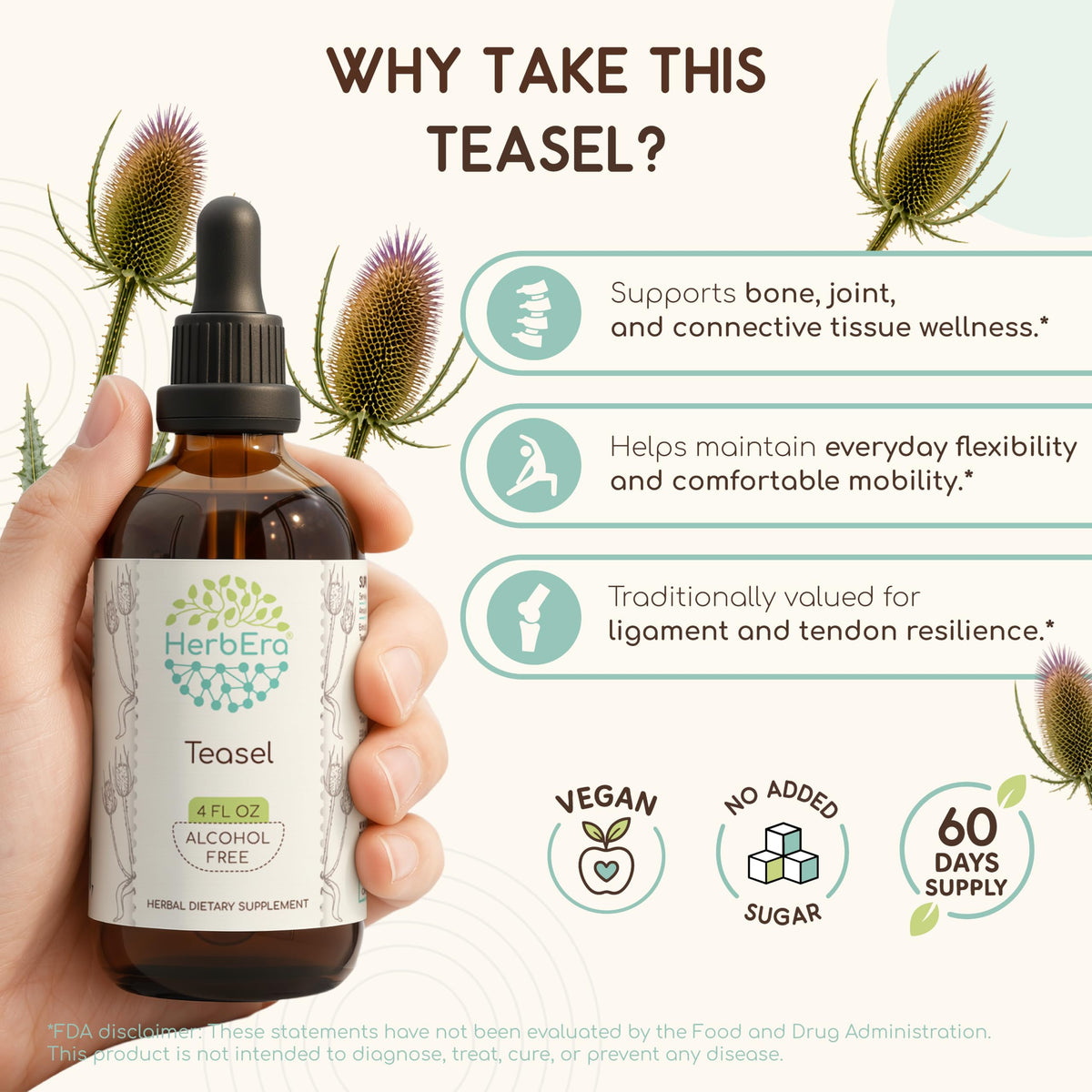 HerbEra Teasel Alcohol-Free Herbal Extract Tincture