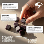 Stay Wyld Organics Brain Food+ Mushroom Gummies for Focus - 30 Servings - image 2