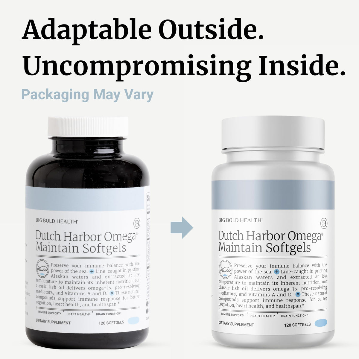BIG BOLD HEALTH Dutch Harbor Omega Maintain - 120 Softgels - image 8