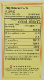 Guangzhou Zhongyi Yinourish Remedy Zuo GUI Wan - 100 Pills - image 2