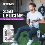 XTEND BCAA Powder