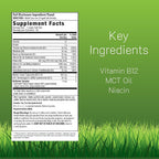 Irwin Naturals Quick Release B-12 Cellular Energy Support - 60 Softgels - image 2