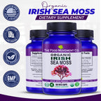 THE FOOD MOVEMENT CO. Irish Sea Moss Prebiotic - 60 Vegetarian Capsules - image 7