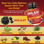 Papnami HERBAL_SUPPLEMENT