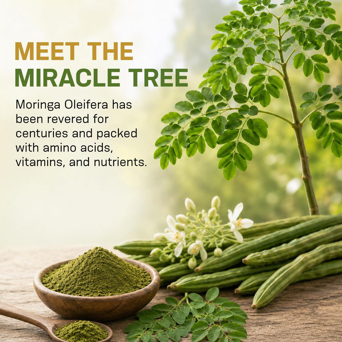 PIUS NATURE Turmeric Moringa Organic Supplement - 120 Vegetarian Capsules - image 6