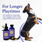 Generic C60 EVO Dog Lover Set Pure ESS60 in Olive Oil - 7 Fl Oz - image 6