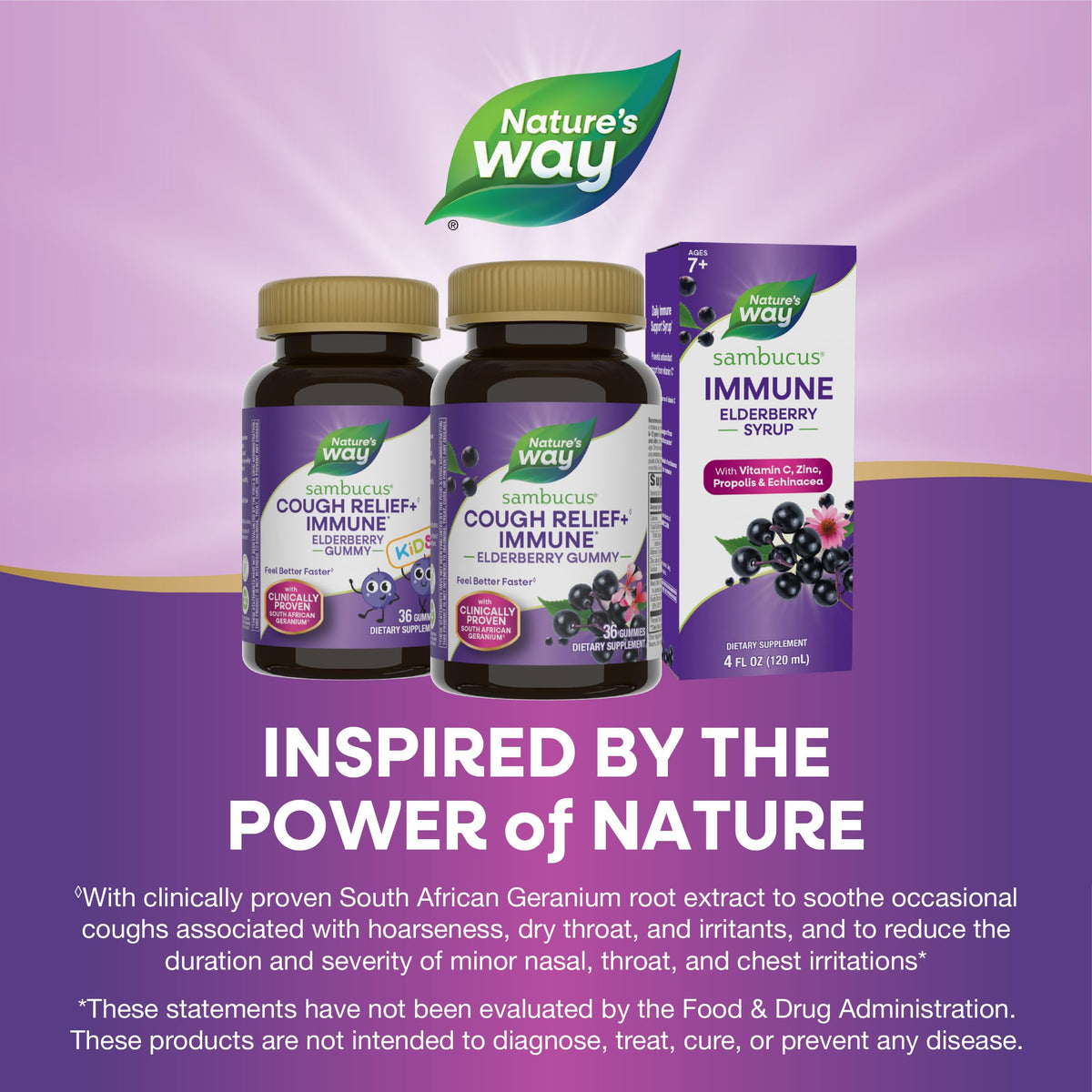 Nature's Way Sambucus Cough Relief Elderberry Gummy - 36 Gummies - image 7