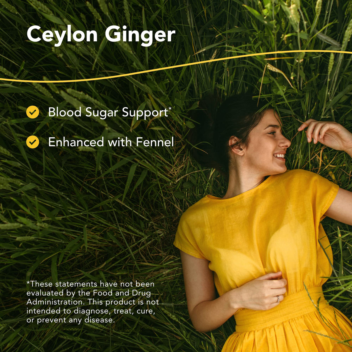 North American Herb & Spice GingaMax Ceylon Ginger - 90 Capsules - image 2