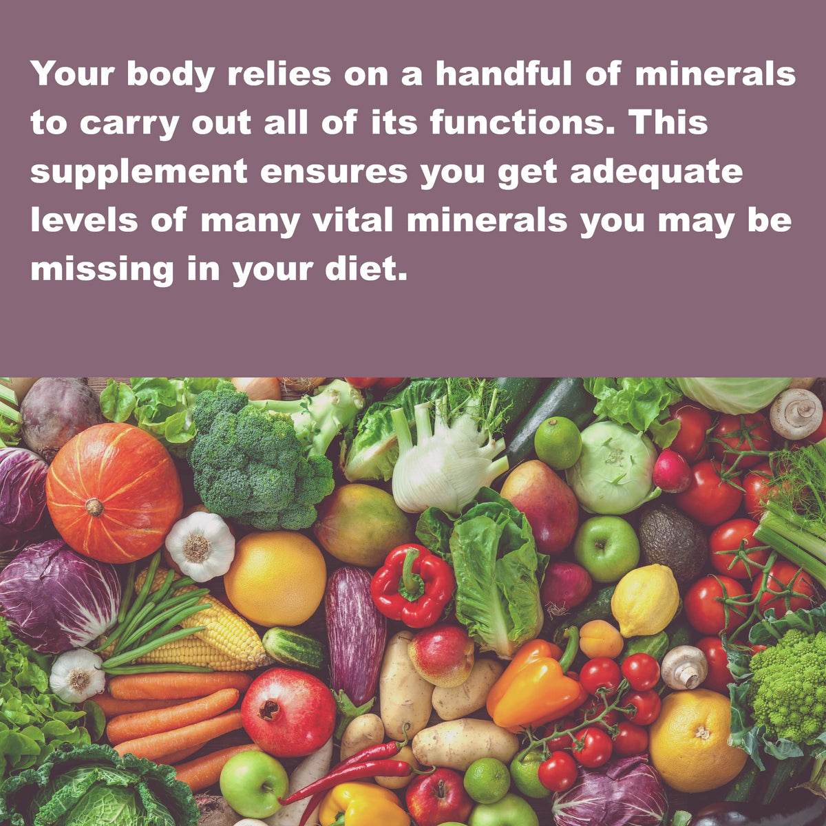 LifeLink Colloidal Trace Minerals - 100 Capsules - image 3