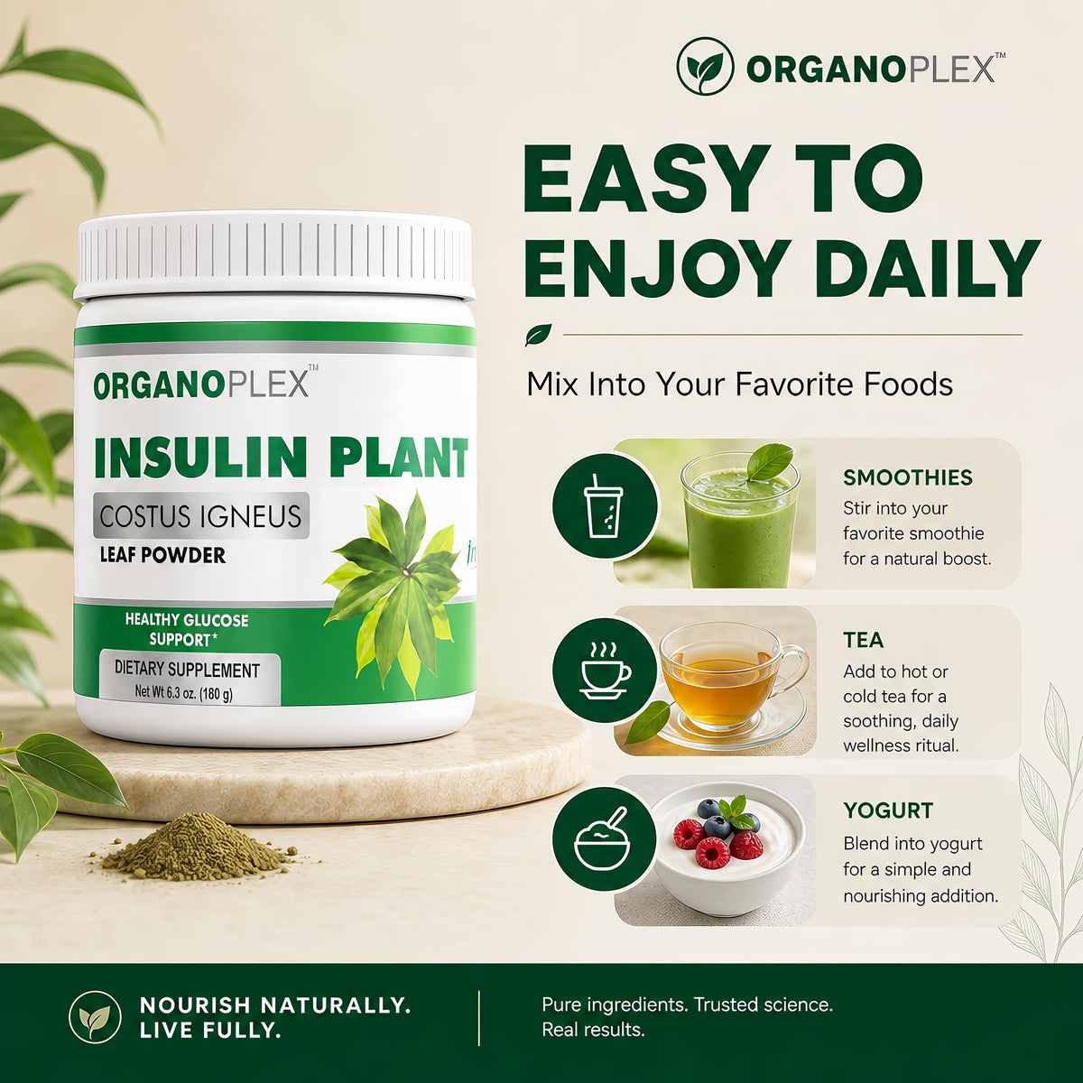 ORGANOPLEX Insulin Plant Powder - Blood Sugar Support Supplement - 2 - image 4