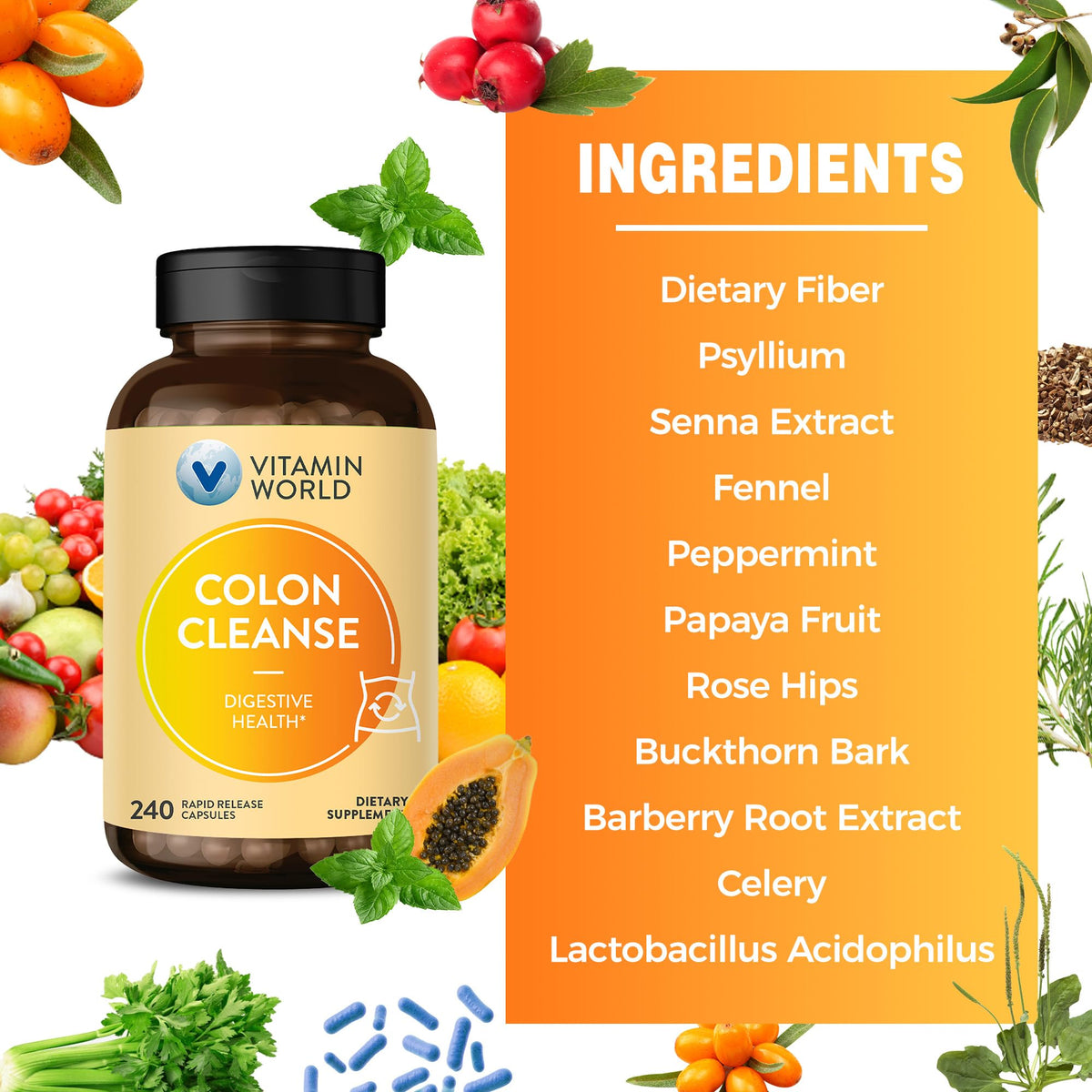 Vitamin World Colon Cleanse & Detox, 240 Capsules - image 5
