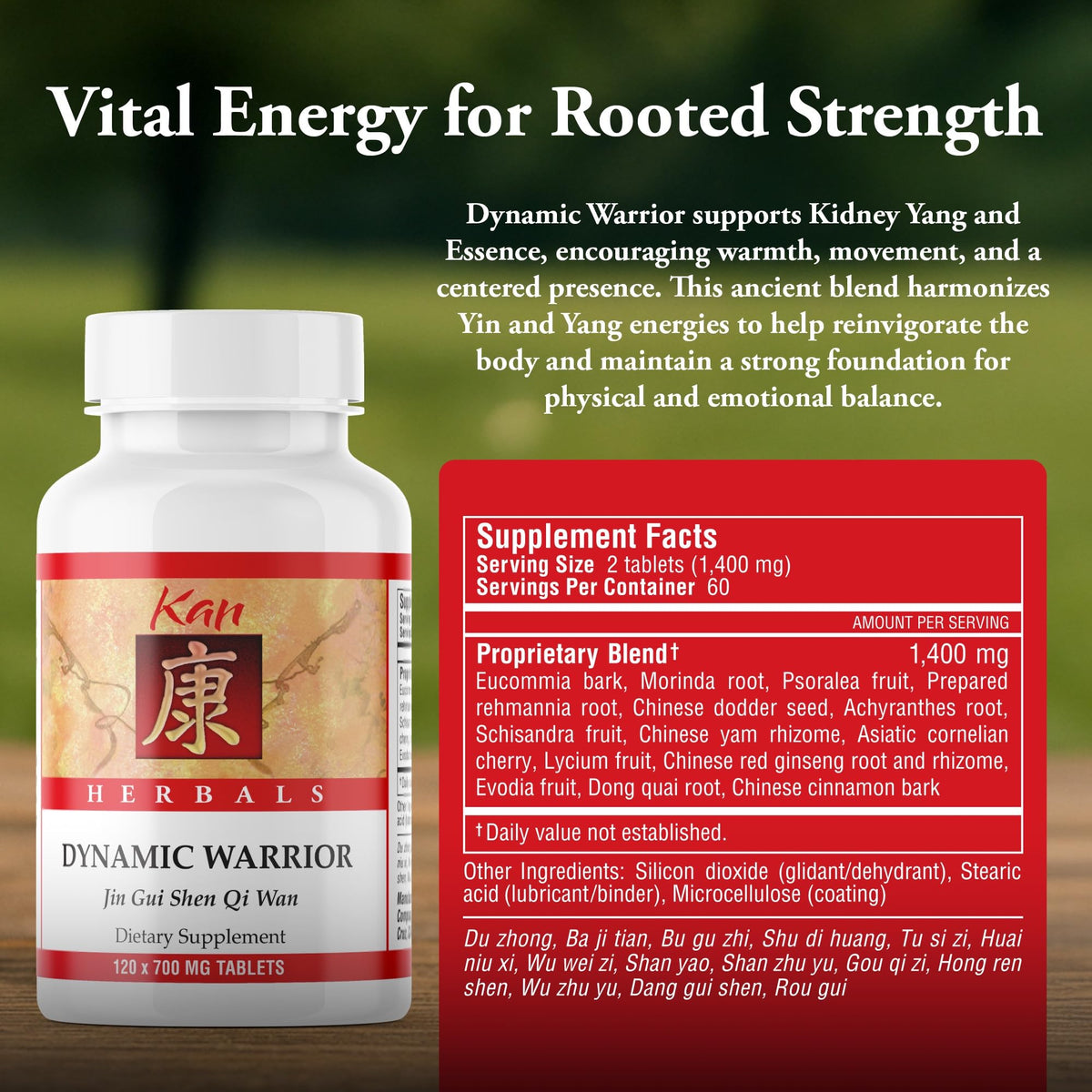 Kan Herbs Dynamic Warrior Traditional Chinese Herbal Formula - 120 Tablets - image 3