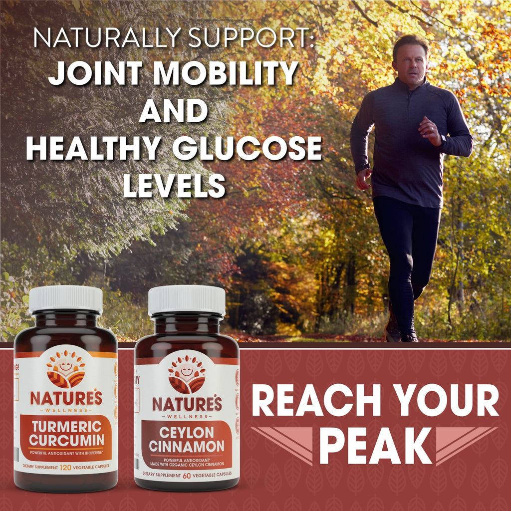 Natures Wellness Organic Ceylon Cinnamon 1200 mg - 60 Vegetarian Capsules - image 4