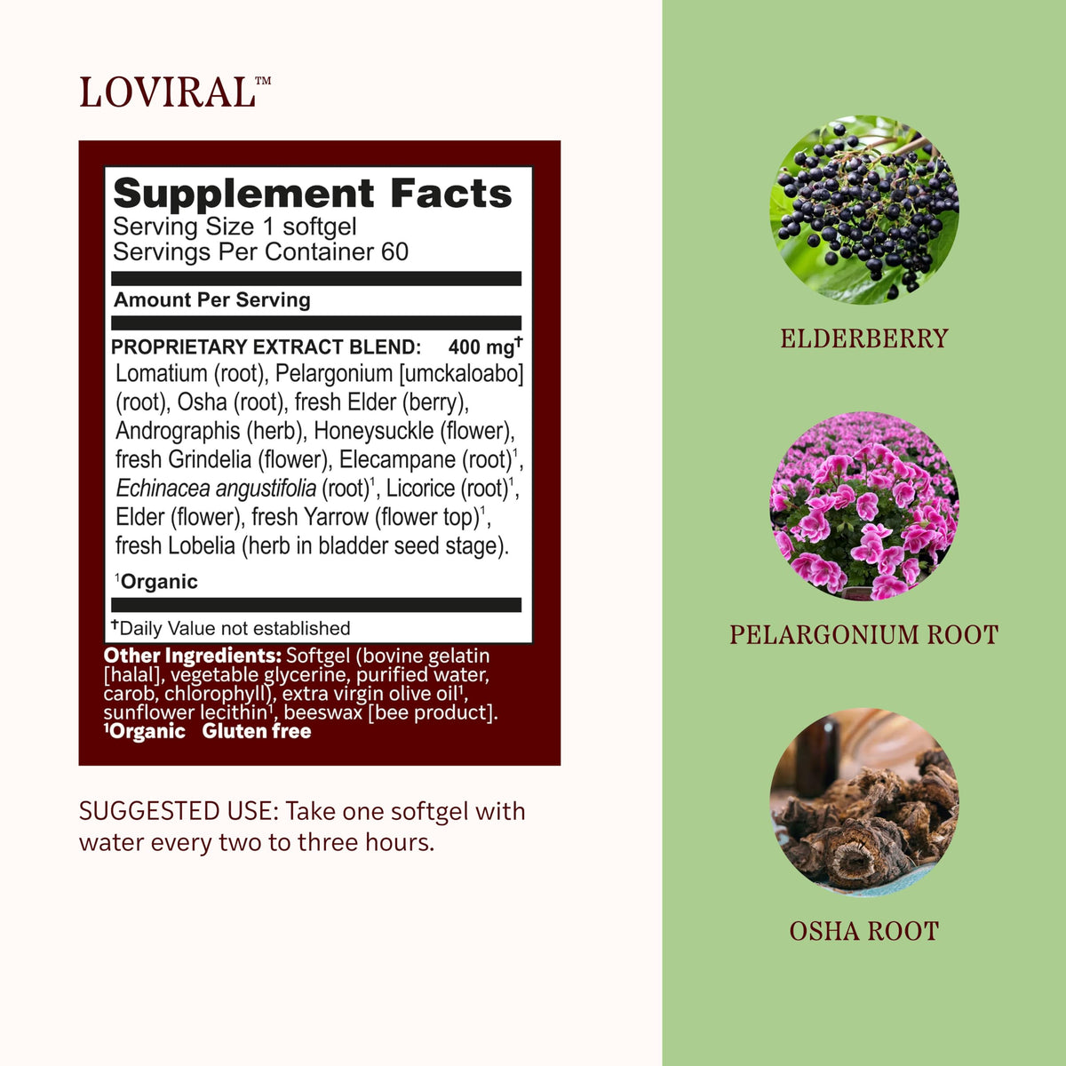 Herbs Etc. Loviral Softgels Immune & Respiratory Support - 60 Softgels - image 2