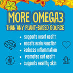 Brass Roots Organic Incan Protein Seeds Variety Pack - 10 Count - image 2
