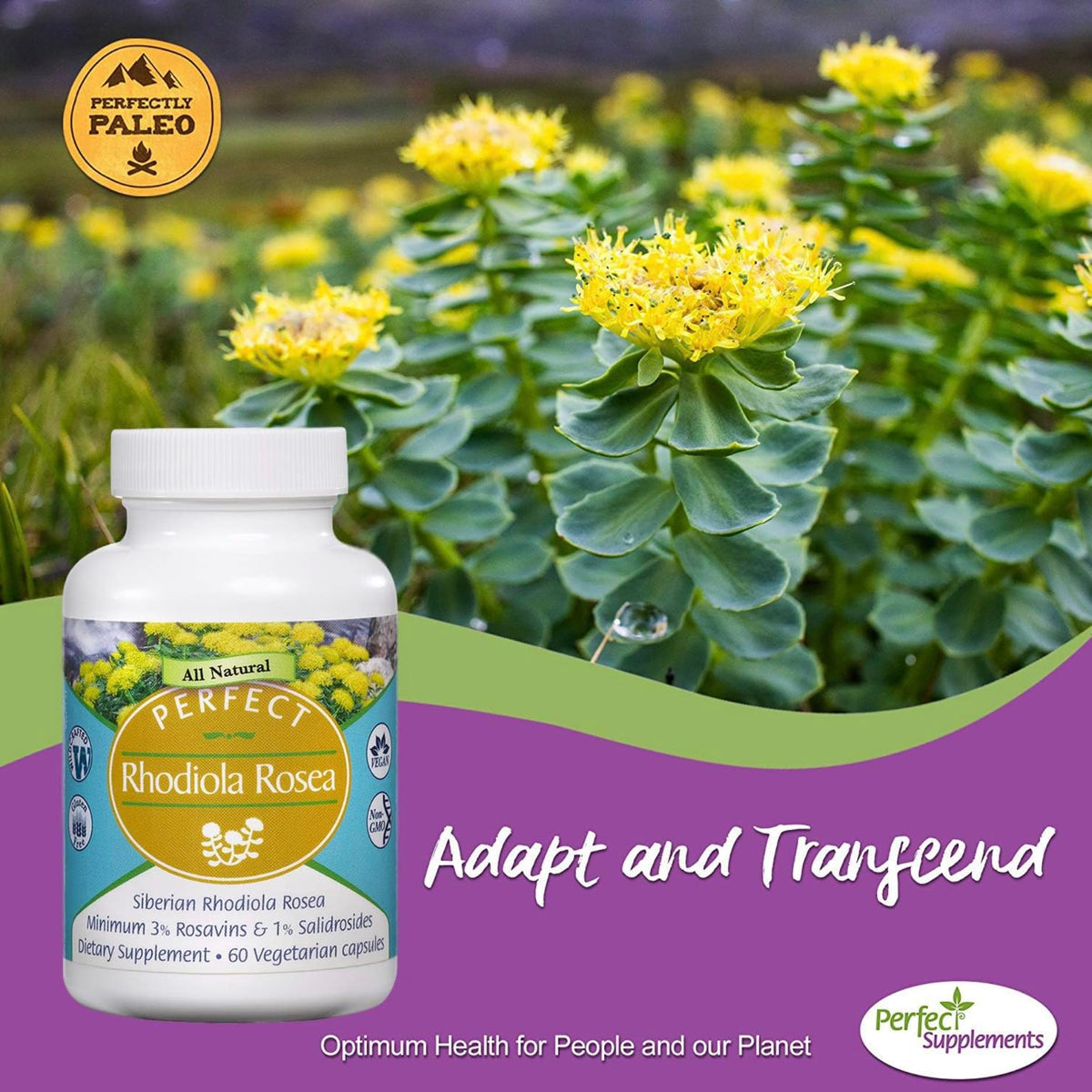Perfect Supplements Rhodiola Rosea for Focus, Energy & Stress Relief - image 5