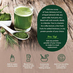Dragon Herbs Tonic Alchemy Superfood Greens Powder - 1 Packet - image 6