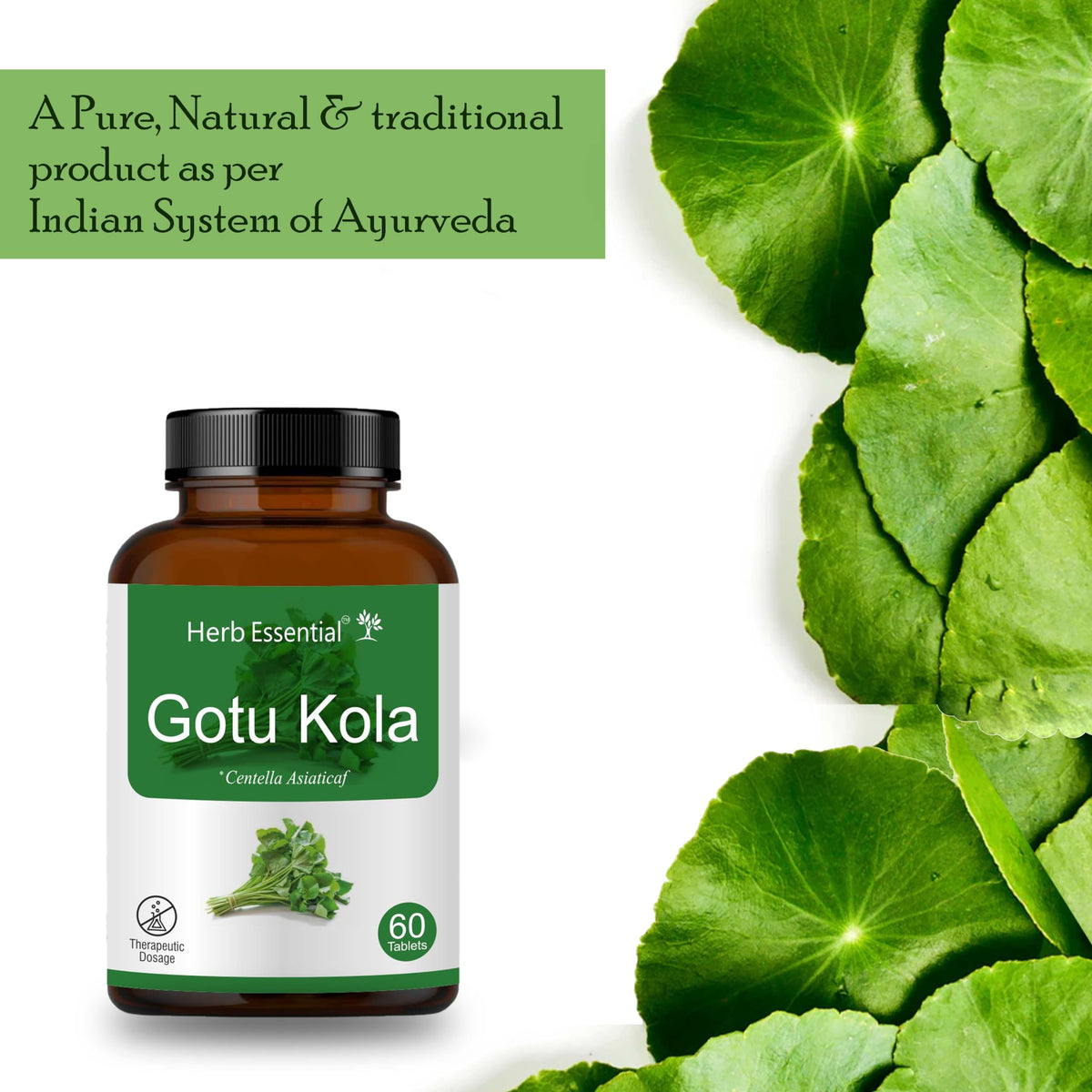 Herb Essential Gotukola Indian Pennywort 500mg - image 4