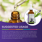 DR.GARBER'S Dr. Garber's Stress Support Oral Drops for Calm Mind - 60ml - image 5