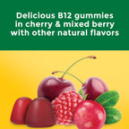 Nature Made Extra Strength Vitamin B12 3000 mcg Gummies - 60 Count - image 4