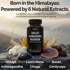NuroJit Shilajit Ashwagandha Mushroom Capsules - 60 Capsules - image 7